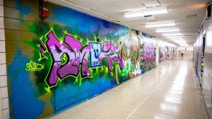 anti-graffiti film colorado school university