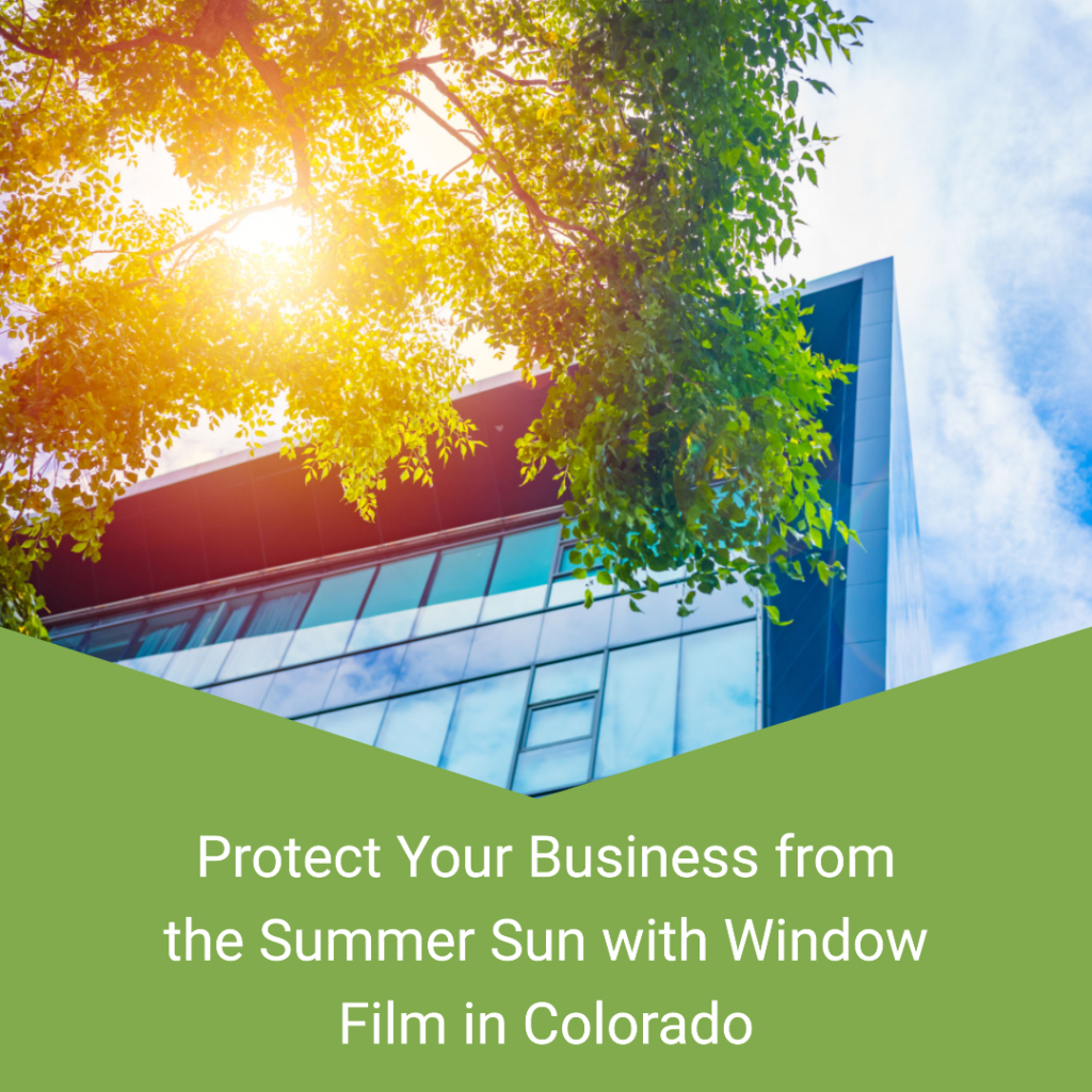 sun control window film colorado commercial